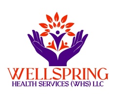 wellspring-hs.org