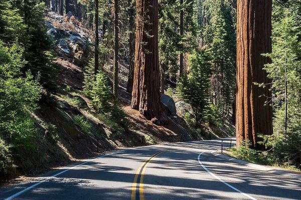 CA-198 Generals Highway