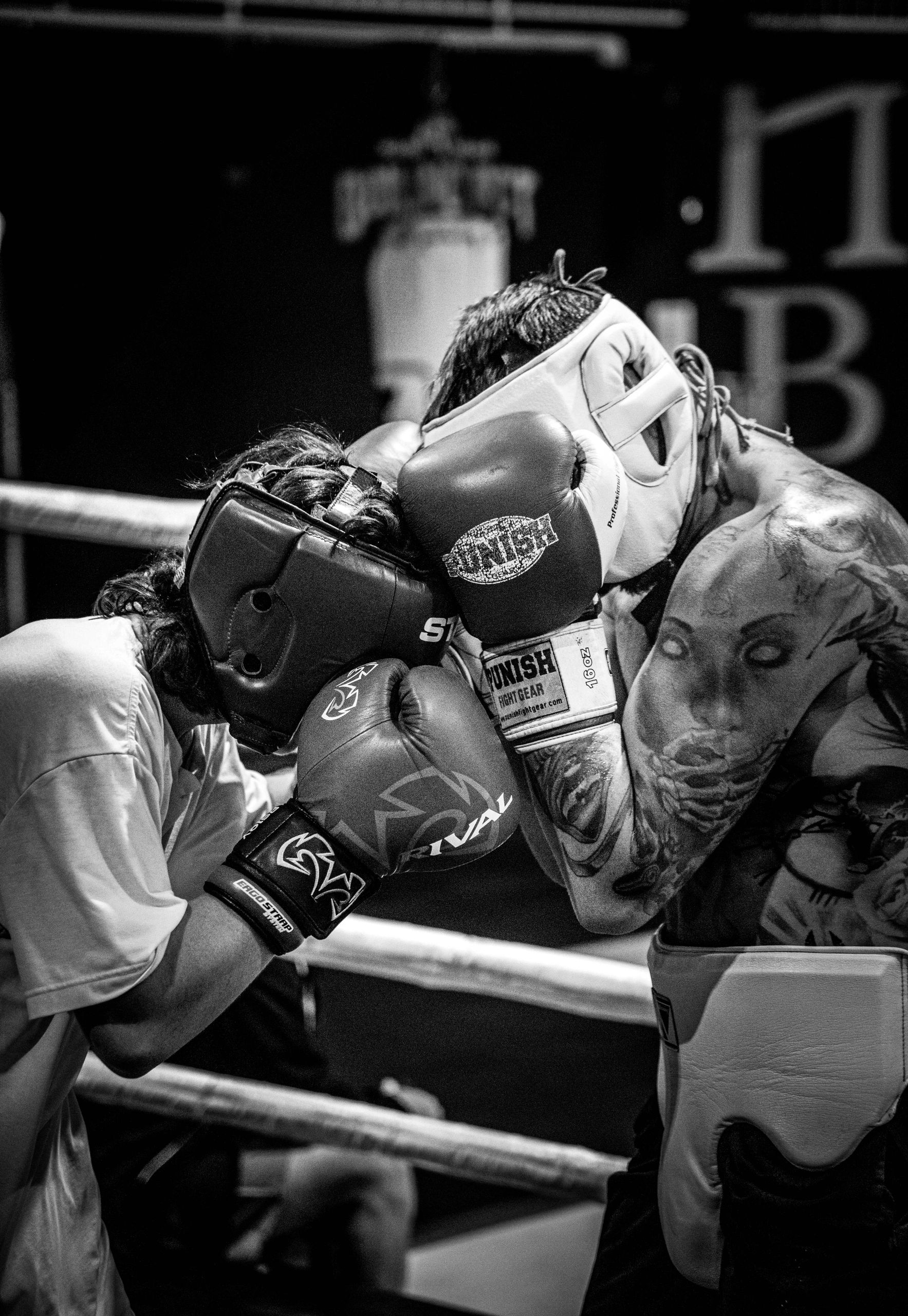 Noosa Box Office Boxing Gym Noosa Heads, Queensland