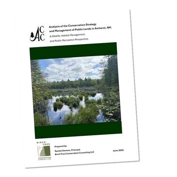 Report: Analysis of the Conservation Strategy and Management of Public Lands in Amherst, NH. A Wildl