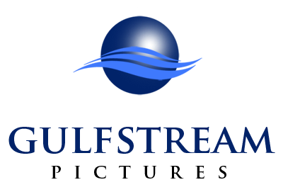 Гольфстрим тула. Гольфстрим логотип. Gulfstream pictures logo. Gulfstream Aerospace logo. Гольфстрим охранные системы.