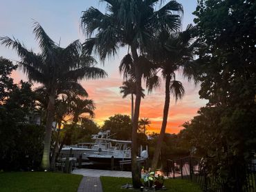 Sunset over a marina framed by tall palm trees and lush greenery.
