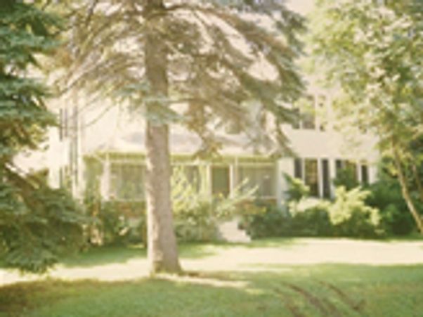 Two story house with pine trees in the yard