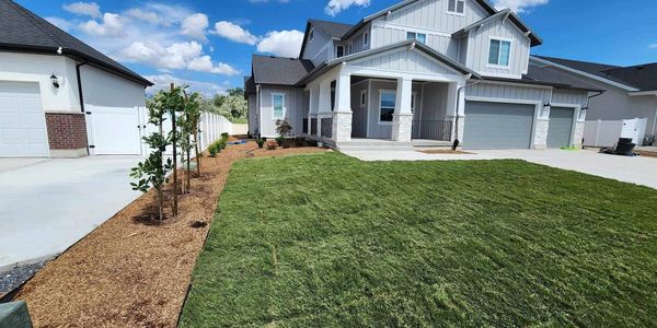 Front yard landscaping and new grass (sod) and trees.