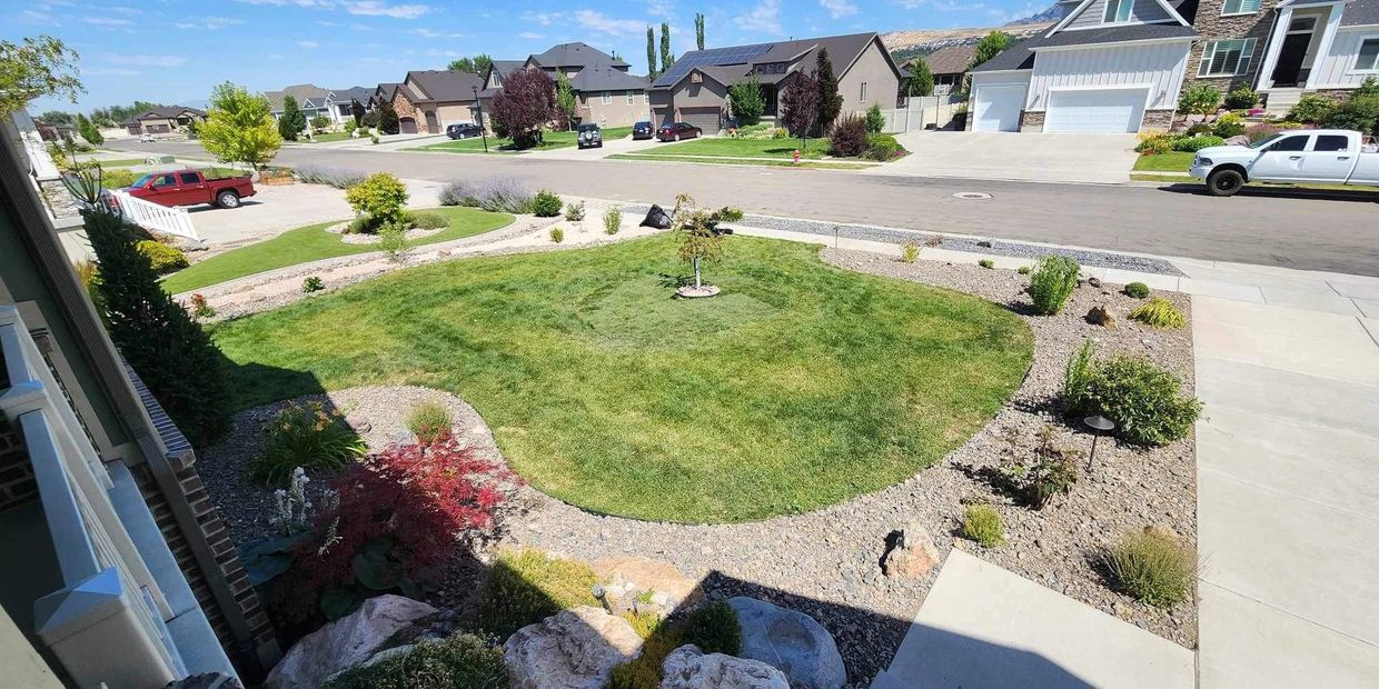 Front yard landscaping.