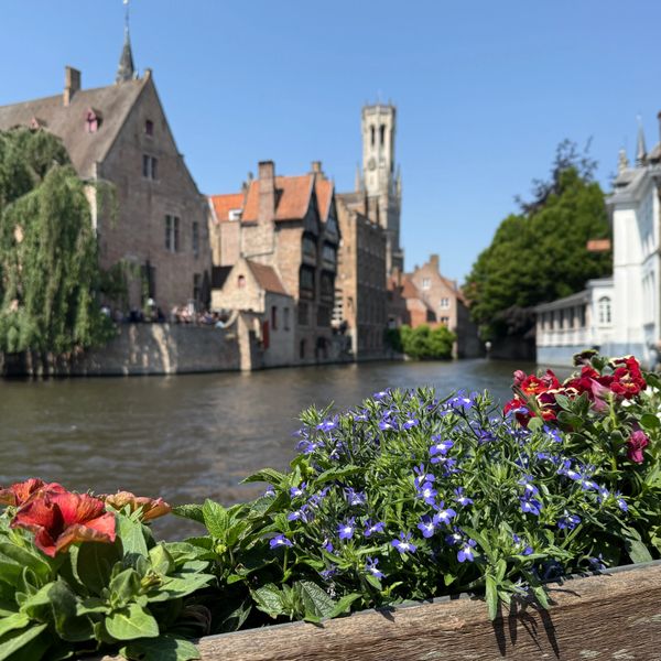 Flowers in the foreground with a historic canal and buildings in the background under a clear sky.