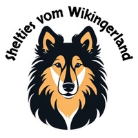 Shelties vom Wikingerland
