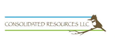 Consolidated Resources, LLC
