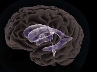 https://img1.wsimg.com/isteam/ip/ee230c14-2394-4aa3-9a81-cd8c85c181cb/thumbnails/thumbnail-fccf2515-5e44-4181-856c-be9db24f96b0.png