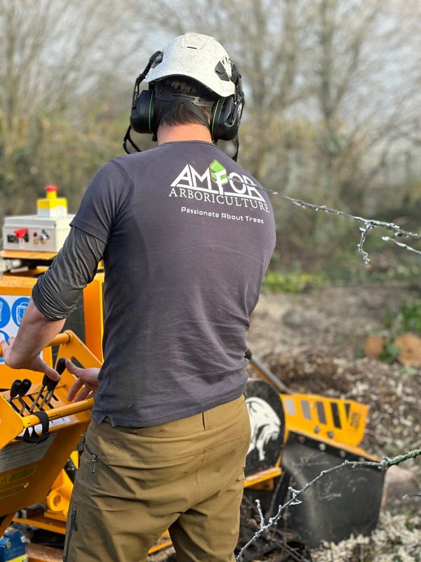 Stump Grinding