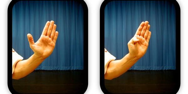 Karate student with palm up and hand open and then tucking his thumb to make a correct knife hand