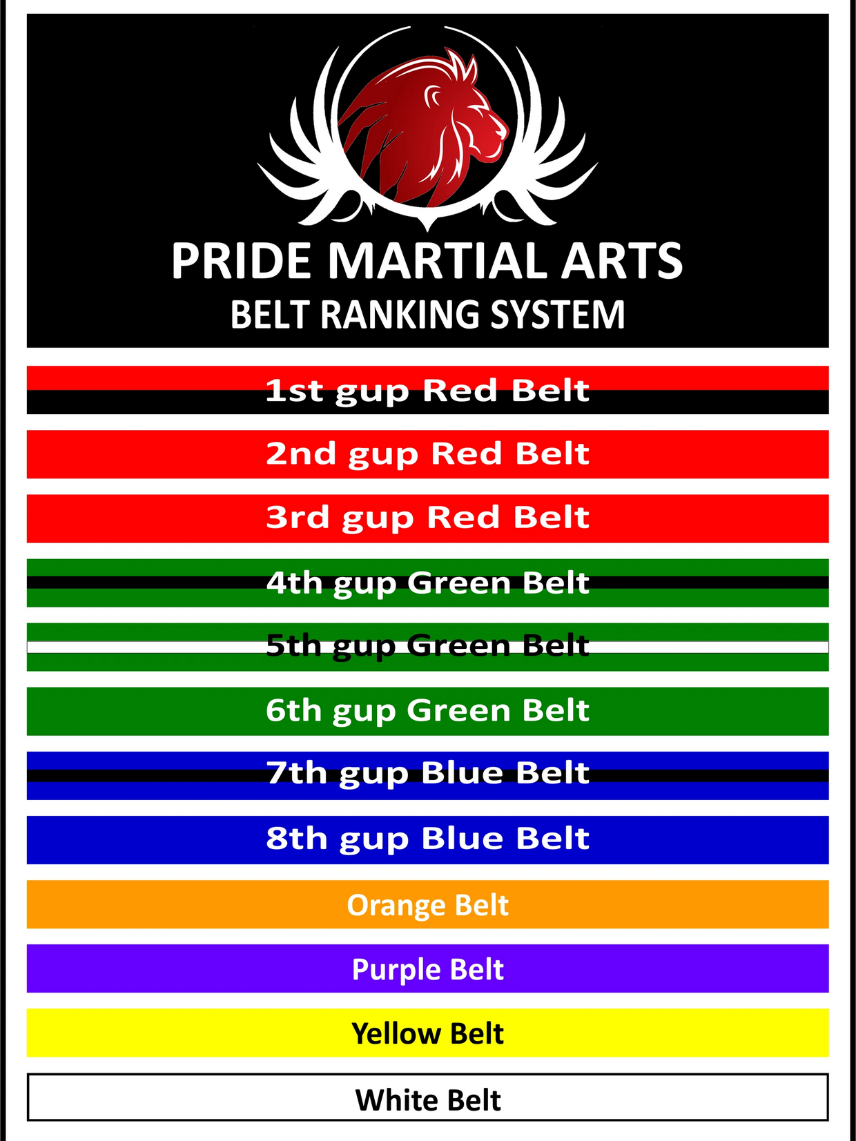 Picture of the American Tang Soo Do Belt Ranking System, from white belt to black belt.