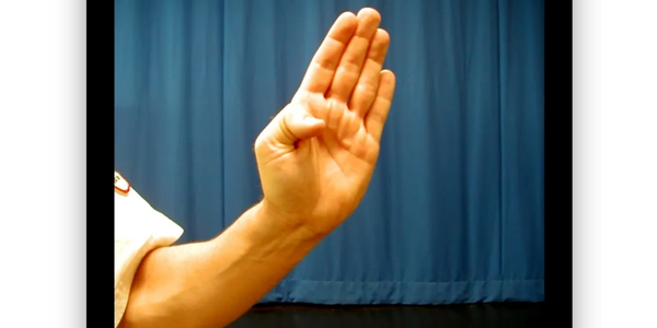 Correct Tang Soo Do Knife Hand Demonstration