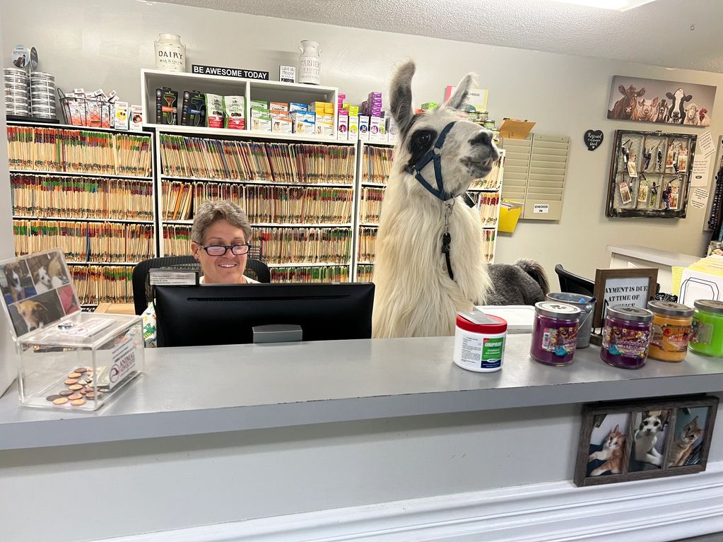 Dr Hopkins With her favorite Tech 