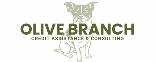 olivecanhelp.com
