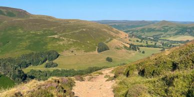 A sunny landscape of rolling hills and a dirt path.