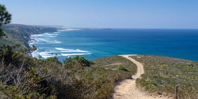 Coastal path overlooking ocean waves.