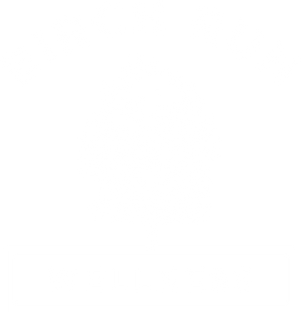 Birch Run Wellness Center