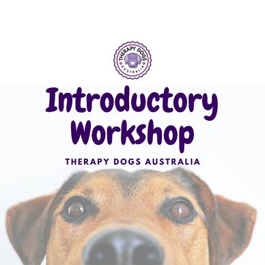 Therapy Dogs Australia