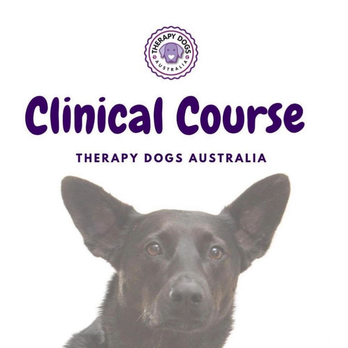 Clinical Therapy Dog & Handler Course