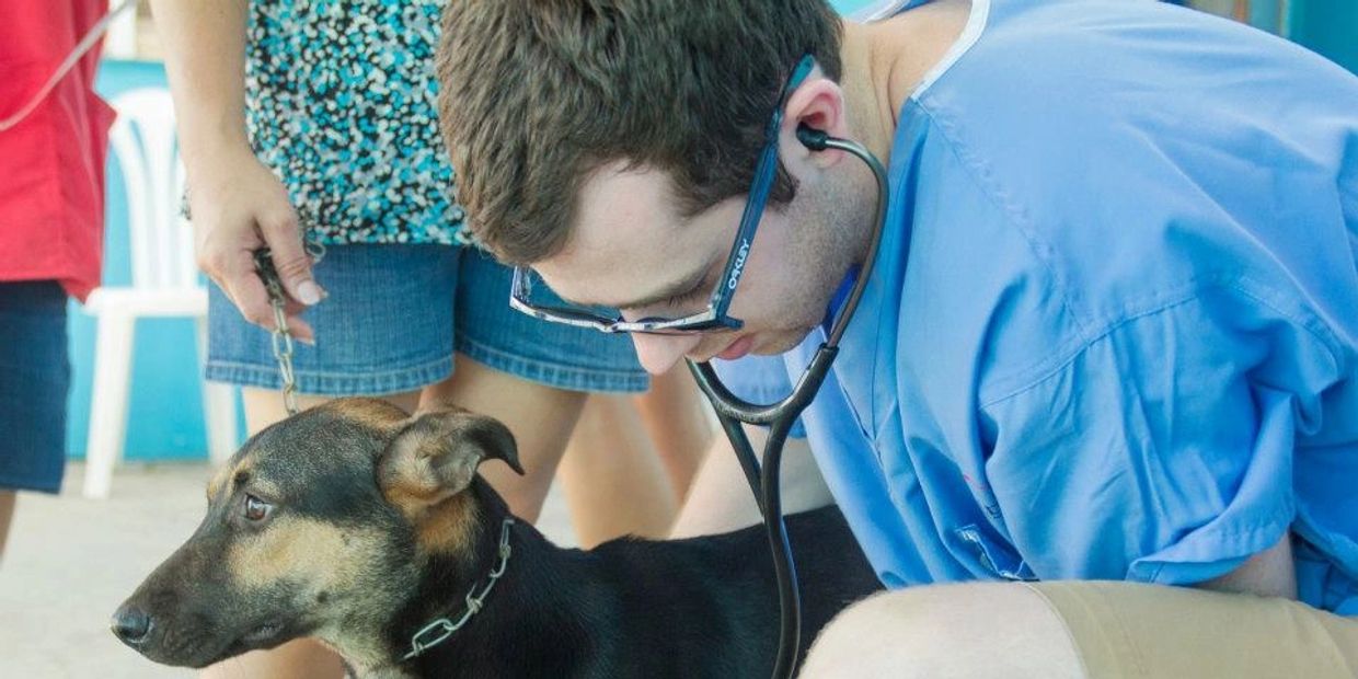 Dr. Robb The Colorado Vet