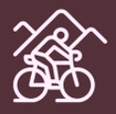 South Devon 
E-Bikes