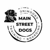 Main street dogs