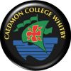 Cedmon College Whitby logo featuring a stylized cross and waves.