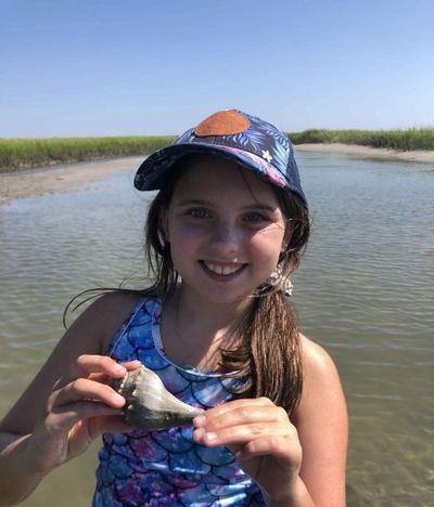 Girl holds a whelk she found in a marsh near Wilmington NC