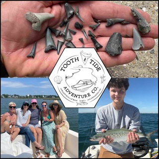 Tooth and Tide Adventures