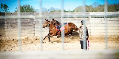 Elite Thoroughbreds Farm-Services