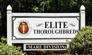 Elite Thoroughbreds Farm-Mare Division