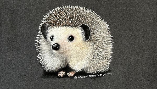 HedgeHog - 
7x9 PastelMat
Pastel Pencil