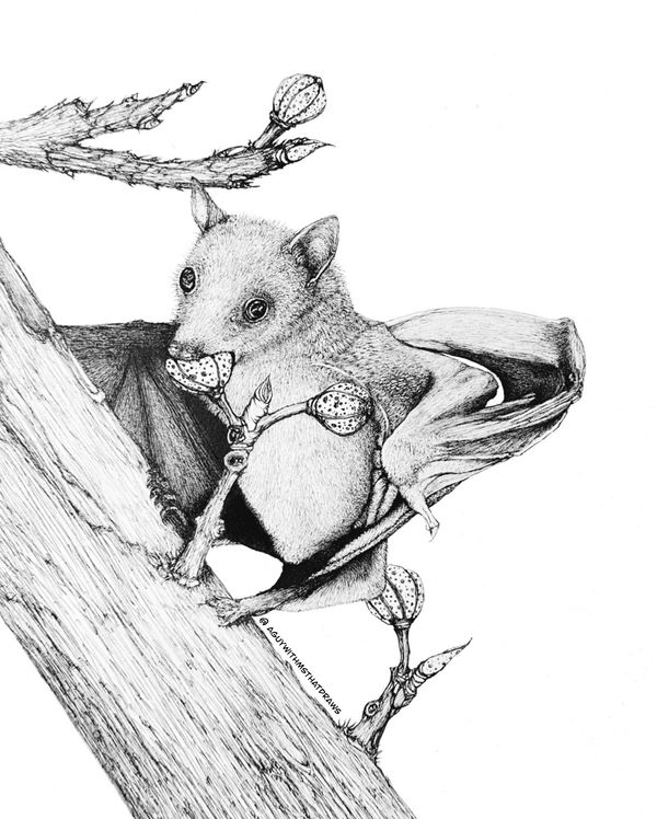 Bat - 
9x12 Hot pressed 320g/m2 watercolor paper
Archival Ink