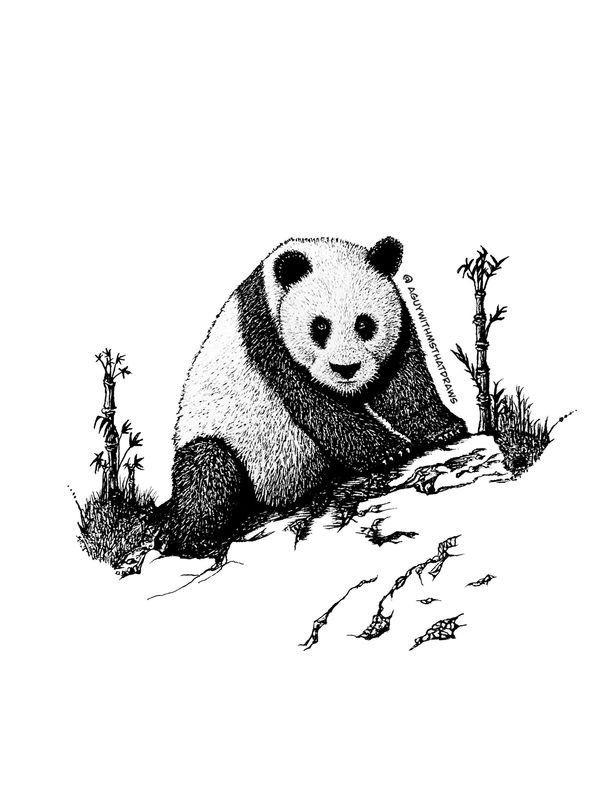 Giant panda drawn, using fine liner, pens, and white gel ink