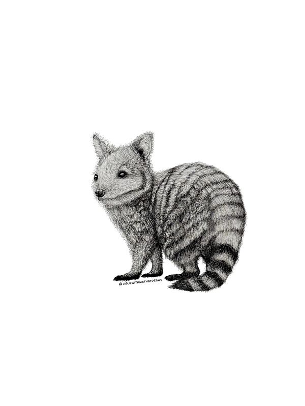 Numbat - 
9x12 Hot pressed 320g/m2 paper - 
Archival Ink