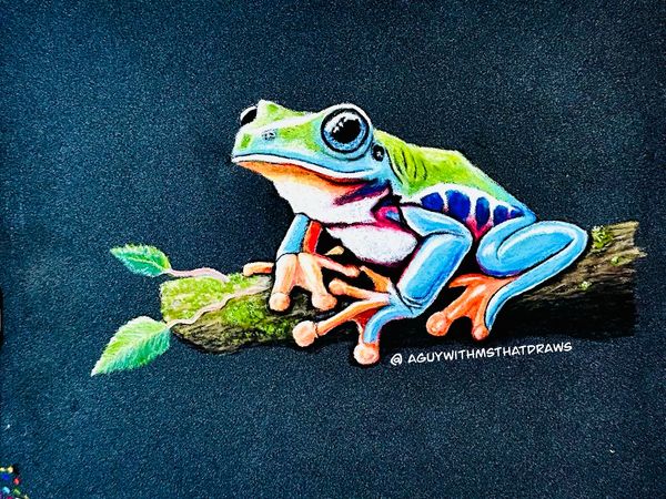Tree Frog - 
7x9 PastelMat
Pastel Pencil