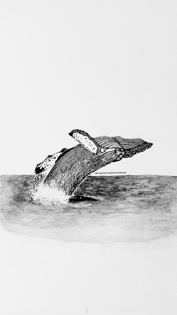 Blue Whale - 
9x12 Hot pressed 320g/m2 paper - 
Archival Ink and ink wash