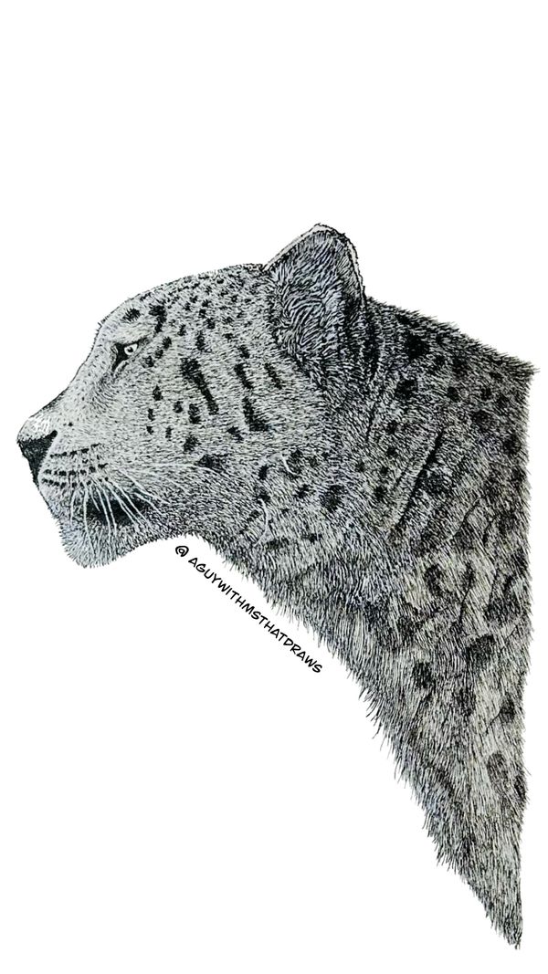 Snow, leopard hand drawn, using fine liner, ink, pens, and white gel pens