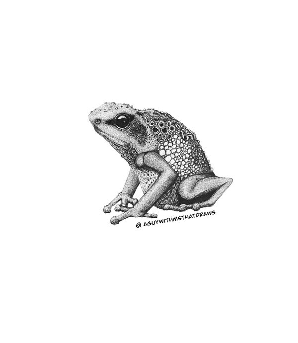 Goliath frog - 
9x12 Hot pressed 320g/m2 watercolor paper
Archival Ink
