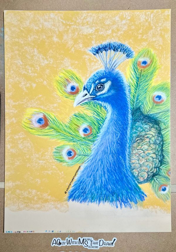 Peacock - 
11x14 PastelBoard
Pastel Pencil