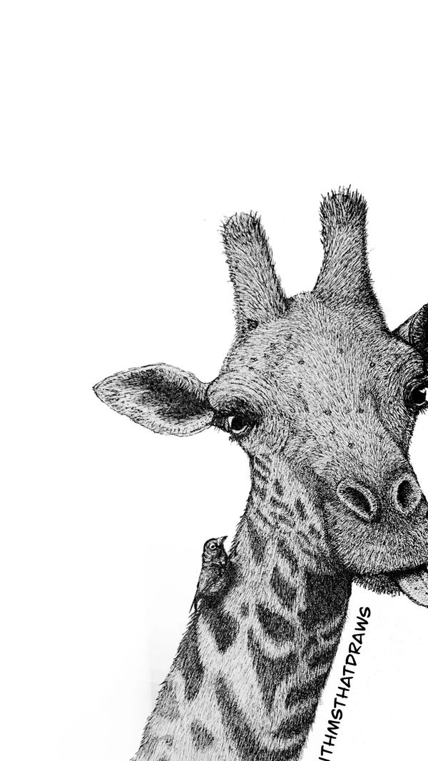 Giraffe, hand drawn, using fine liner, ink pens