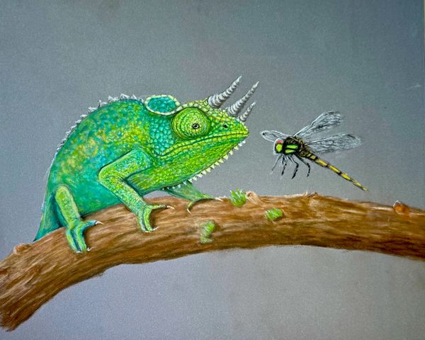 Jackson’s Chameleon 
9x12 PastelMat -
Pastel Pencil
