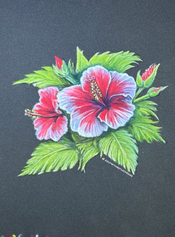 Hibiscus - 
7x9 PastelMat -
Pastel Pencil