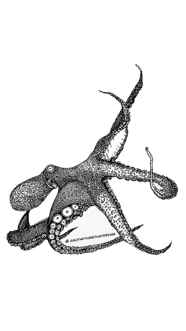 Octopus - 
9x12 Hot pressed 320g/m2 paper - 
Archival Ink