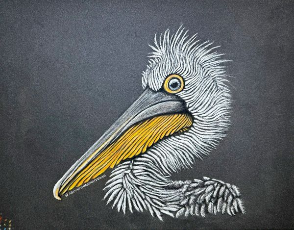Pelican
7x9 PastelMat -
Pastel Pencil