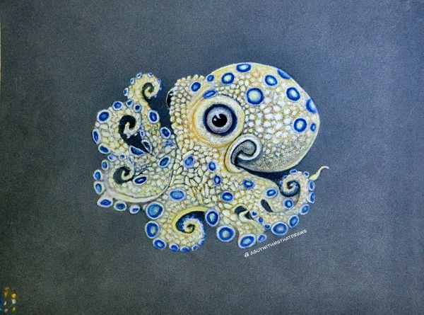 Blue ringed octopus 
7x9 PastelMat -
Pastel Pencil