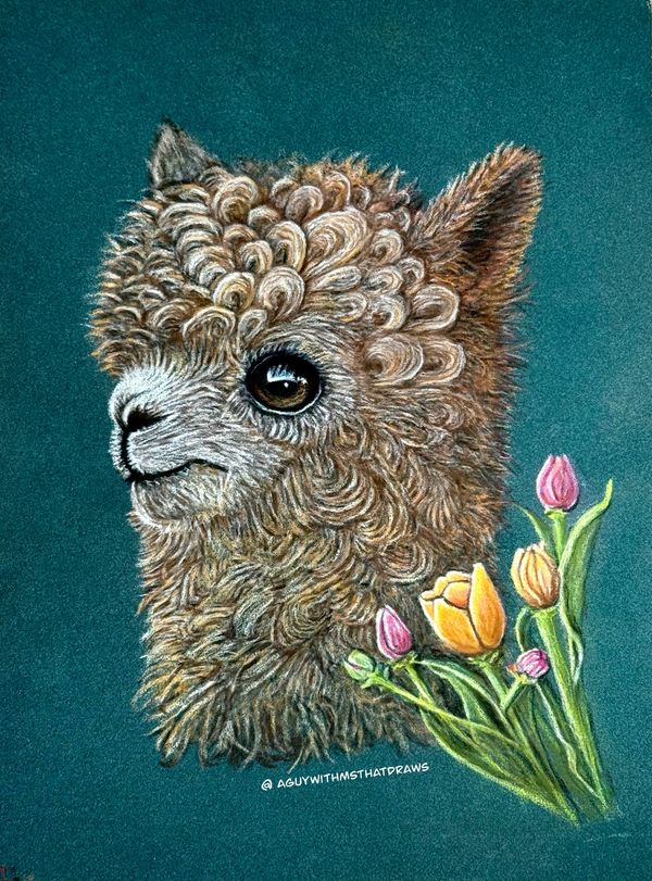 Alpaca
7x9 PastelMat -
Pastel Pencil