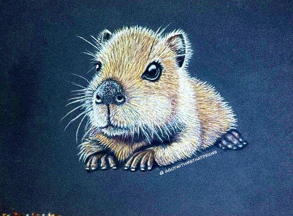 Capybara
7x9 PastelMat -
Pastel Pencil