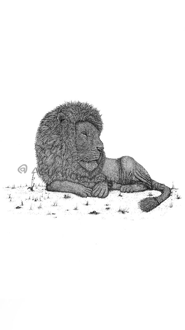 Lion drawn using fine liner Inc. pens